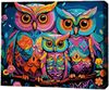 cumpără Tablou pe numere BrushMe RMGB008FC 30x40сm (pânză neagră/fără cutie) Familia de bufnițe în Chișinău 