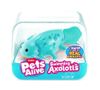 cumpără Jucărie ZURU 9556UQ1 Pets Alive, Axolotl inotator, Seria 1 în Chișinău 