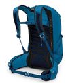 купить Рюкзак спортивный Osprey Talon 22 Scoria Blue/Night Shift (810145591390) в Кишинёве 