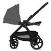 купить Детская коляска Lionelo Carucior 2in1 Carmine Grey Stone в Кишинёве 