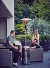 купить Обогреватель инфракрасный Enders Incalzitor pe gaz tip ciuperca ELEGANCE (937623) в Кишинёве 