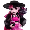 купить Кукла Mattel HRP64 Monster High в Кишинёве 