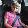 купить Подушка LittleLife Seatbelt Pillow, L16370 в Кишинёве 