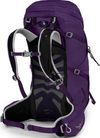 cumpără Rucsac turistic Osprey Tempest 34 III violac purple WM/WL în Chișinău 