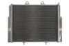 POLARIS RANGER, ACE 500/570/800 2008-2018 