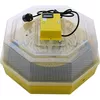 купить Товар для животных Technoworker Incubator electric cu termometru CLEO 5T/INC4 (84362100) в Кишинёве 