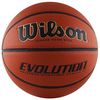 cumpără Minge Wilson 3394 Minge baschet N7 EVOLUTION WTB0516XBEMEA în Chișinău 