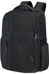 купить Сумка дорожная Samsonite Biz2Go (142145/1041) в Кишинёве 
