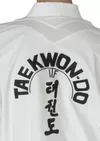 Costum Taekwondo master instructor 180cm