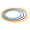 cumpără Echipament de gimnastică miscellaneous 135 Cerc gimnastic d=66 cm 00386 în Chișinău 