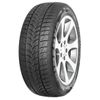 купить Шина Minerva tyres 215/55R 18 99V FROSTRACK UHP XL в Кишинёве 