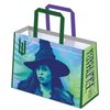 купить Детский рюкзак Pyramid International BFL2500589 WICKED (E&G) REUSABLE TOTE BAG в Кишинёве 