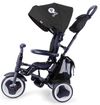купить Велосипед-коляска Qplay Rito Plus Black в Кишинёве 