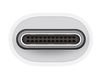 купить Переходник для IT Apple USB-C Digital AV Multiport Adapter MW5M3 в Кишинёве 