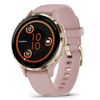 купить Смарт часы Garmin Venu 3S Pink Dawn/Soft Gold (010-02785-03) в Кишинёве 