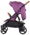 купить Детская коляска Chipolino Passo Doble KBPD02205LP Lilac/platinum в Кишинёве 