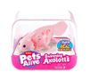 cumpără Jucărie ZURU 9556UQ1 Pets Alive, Axolotl inotator, Seria 1 în Chișinău 