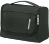cumpără Geantă de toaletă/de cosmetice Samsonite Respartoil (145865/1339) în Chișinău 