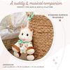 купить Мягкая игрушка Sophie la Girafe 010338 Jucarie muzicala de plush 20cm в Кишинёве 