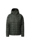 купить Куртка TheNorthFace W TBALL ECO HDIE THYME, NF0A5GLCNYC1 в Кишинёве 