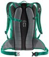 купить Рюкзак спортивный Deuter Race X fern-graphite в Кишинёве 