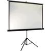 cumpără Ecran pentru proiector Elite Screens T119NWS1 în Chișinău 