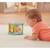 купить Fisher Price Кубик игровой со зверушками в Кишинёве 