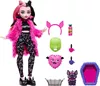 купить Кукла Mattel HKY66 Monster High в Кишинёве 