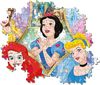 cumpără Puzzle Clementoni Puzzle 180 Disney Princess (29311) în Chișinău 