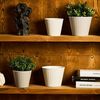 cumpără Ghiveci pentru flori Aleana 114034 Ibis cu fund dublu 15,7x13,0cm, white rose / white în Chișinău 