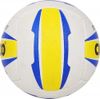 купить Мяч miscellaneous 50499 Cosco Volley Ball STAR4 в Кишинёве 