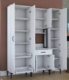 купить Шкаф Trendy JE119-2965, multifunctionala (GTR006683) в Кишинёве 