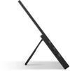 купить Монитор Viewsonic VA1650 Portable Monitor Black в Кишинёве 