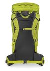 купить Туристический рюкзак Osprey Mutant 38 Lemongrass M/L (810165740686) в Кишинёве 