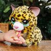 купить Мягкая игрушка Hasbro 28069J Furreal Lil Wilds Lolly в Кишинёве 
