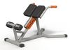 cumpără Banca pentru antrenament de forţă Copfer 33888 Скамья гиперэкстензия PTP618 în Chișinău 