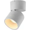 купить Освещение для помещений LED Market Surface COB downlight OC-LM-109,12W,6000K,R, Ф79*H110mm,WH в Кишинёве 