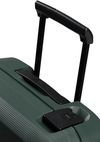 купить Чемодан Samsonite Magnum Eco (139848/1339) в Кишинёве 