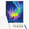 купить Картина по номерам BrushMe BS54493FC 40x50cm (fără cutie) Aurora polară в Кишинёве 