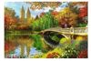 cumpără Puzzle Trefl 20216 Wooden puzzle 500+1. Central Park, Manhattan, New York în Chișinău 