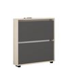 купить Полка для обуви Mobildor-Lux Leo Slim 50x16x86H cm Sonoma/Anthracite в Кишинёве 
