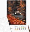 купить Картина по номерам BrushMe BS53291 40x50 cm (în cutie) Drum de toamnă в Кишинёве 