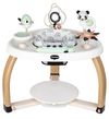 купить Игровой комплекс для детей Tiny Love 2222180831 Stationary Activity Center Black&White Decor в Кишинёве 