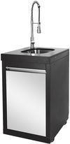 купить Мангал ArtFlame BW411-SI pe gaz din otel inoxidabil в Кишинёве 