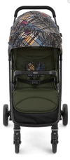 Carucior Graco Breaze Lite 2 Couture Fern 