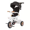 купить Велосипед-коляска Chipolino TRKMRT02402BW Marathon black/white в Кишинёве 
