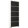 cumpără Raft pentru încălțăminte Mobildor-Lux Leo 60x27x203H cm White/Anthracite în Chișinău 