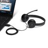 купить Наушники игровые Lenovo 4XD0X88524 100 USB Stereo Headset в Кишинёве 