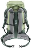 купить Туристический рюкзак Deuter Trail 30 grove-ivy в Кишинёве 