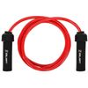 купить Скакалка miscellaneous SL-00014482 Coarda fitness grea 2.7 m FI-4883-M ARN (700 g) в Кишинёве 